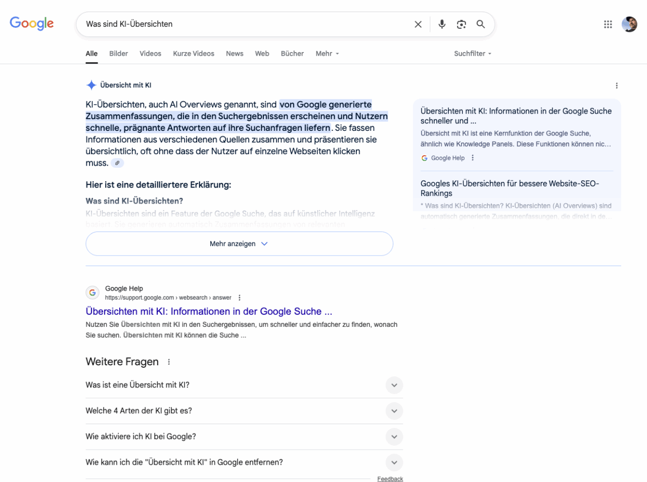 Screenshot einer KI-Übersicht zur Anfrage "Was sind KI-Übersichten"