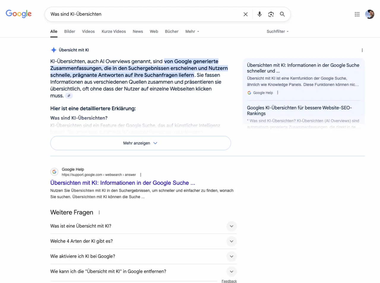 Screenshot einer KI-Übersicht zur Anfrage "Was sind KI-Übersichten"