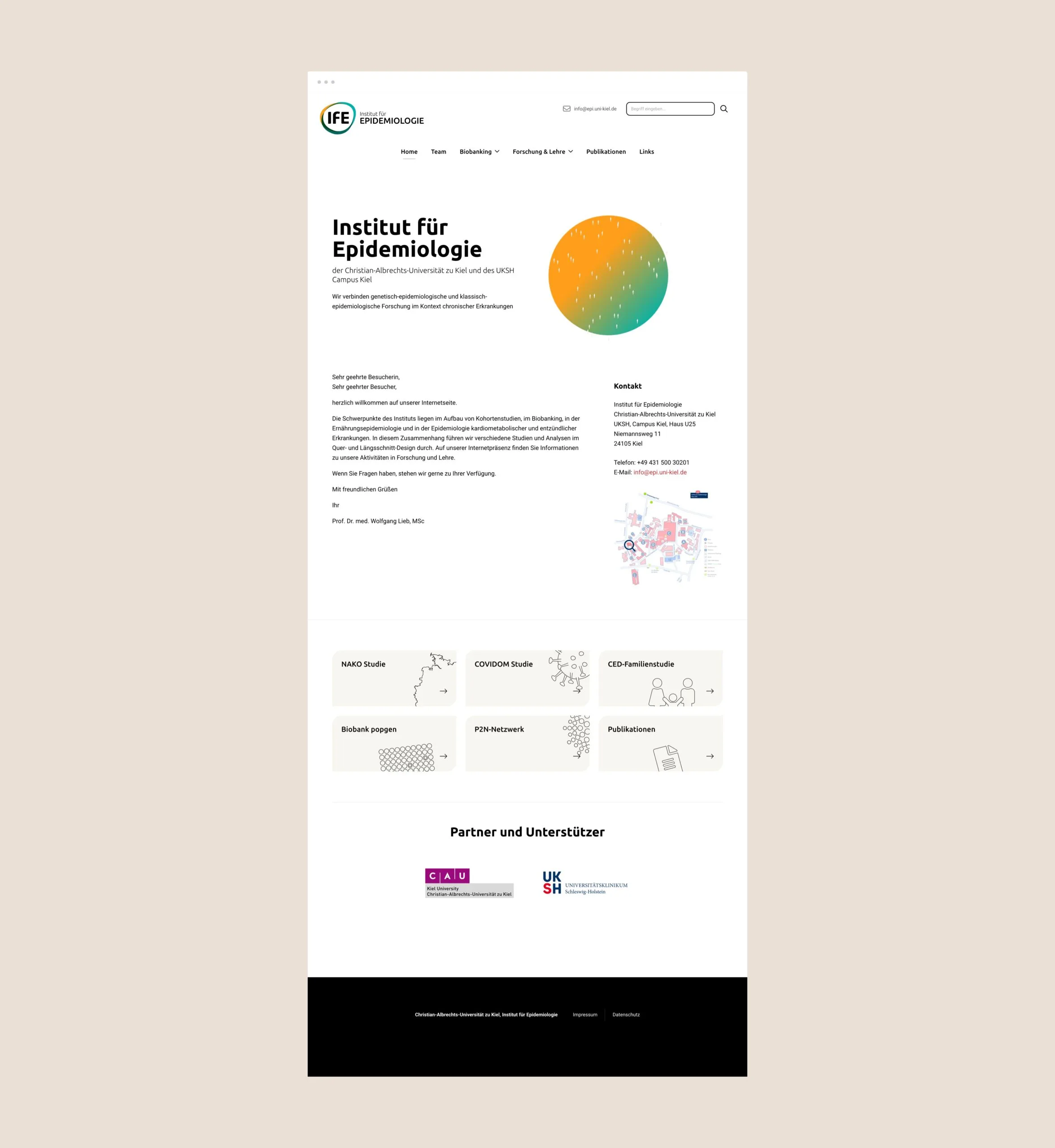 Volle Ansicht der Homepage des Instituts für Epidemiologie